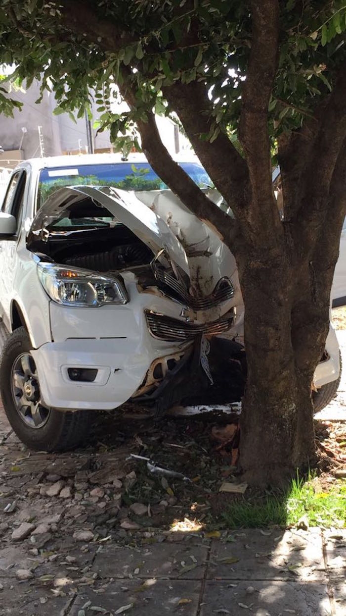 Carro Bate Em Rvore Em Sinop Foto Divulga O S Not Cias