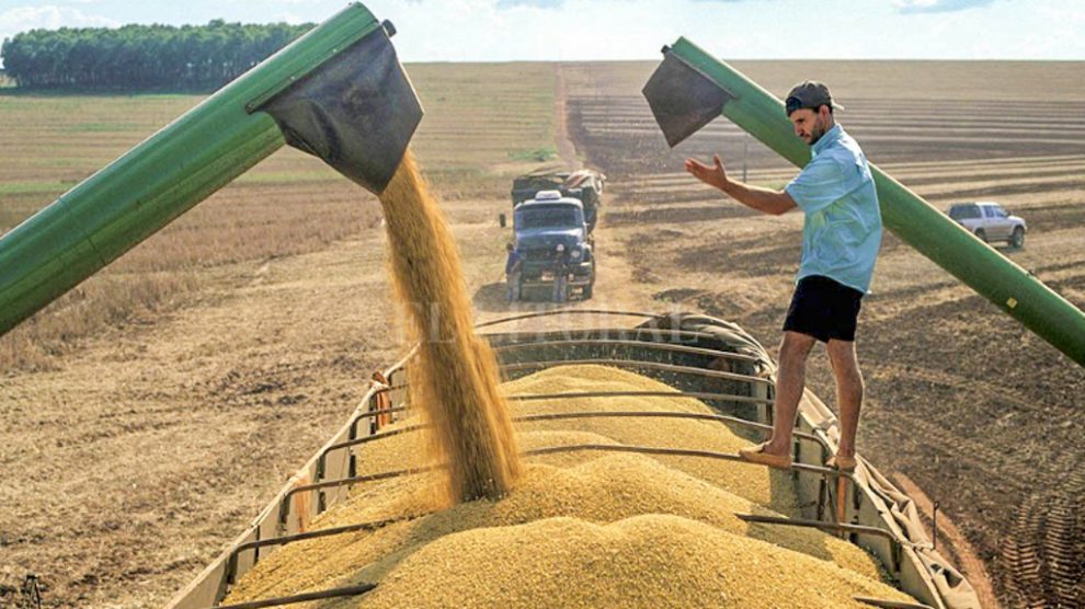 Produtores do Canadá conhecem em Nova Mutum sistema de produção de