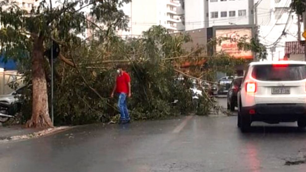 Cuiab Ventos Fortes Chuvas Derrubam Rvores E Deixam Bairros Sem