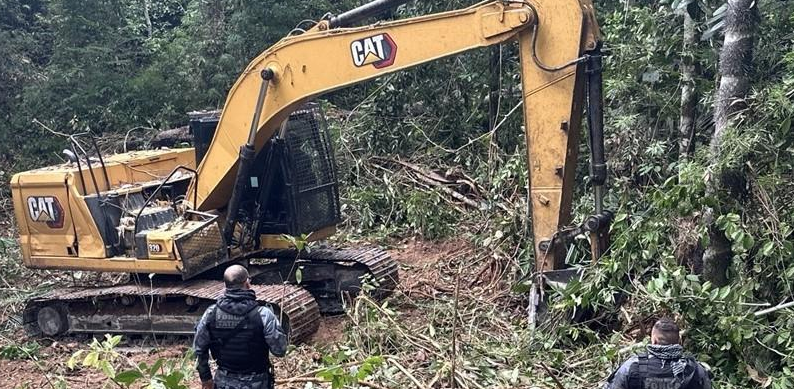 Sema e polícia flagram 11 pontos de desmatamento ilegal em Mato Grosso