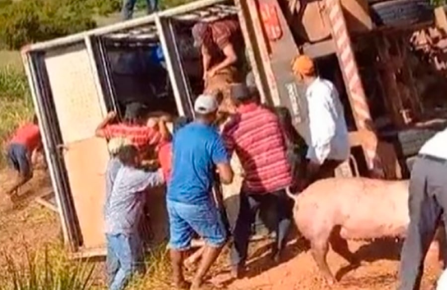 Carreta Tomba E Carga De Su Nos Saqueada No M Dio Norte S Not Cias