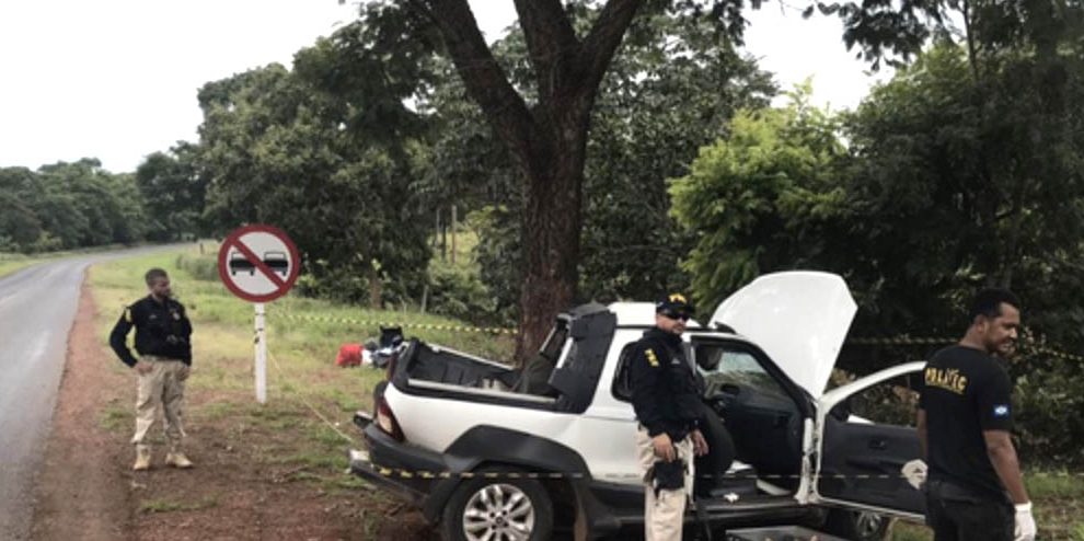 Casal morre em acidente após motorista bater em árvore e carro se partir ao  meio em rodovia de MT, Mato Grosso