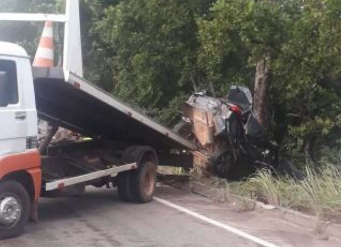 Casal morre em acidente após motorista bater em árvore e carro se partir ao  meio em rodovia de MT, Mato Grosso